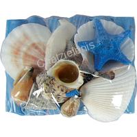 135288 ΟΣΤΡΑΚΑ ΣΕ  DRIFTWOOD ΜΠΛΕ 11Χ8